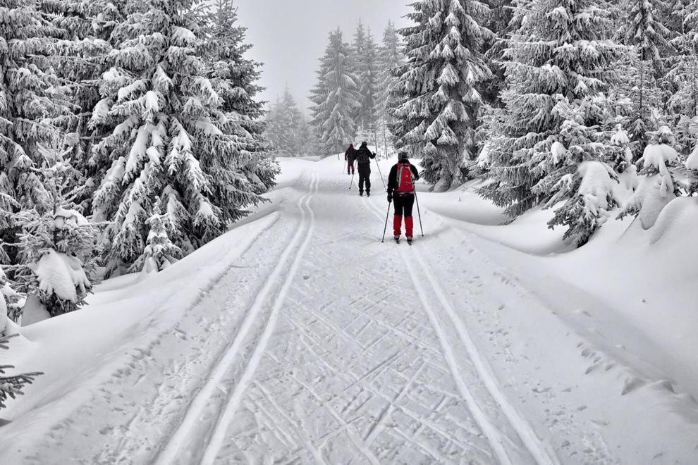 Apartmán Apartmán Pohoda Lipno Lipno nad Vltavou Exteriér fotografie